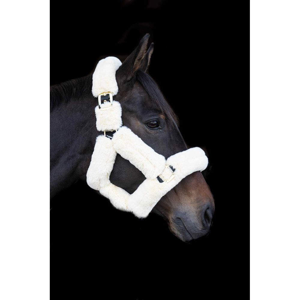 Eco Rider Supreme Headcollar - Ultimate Luxury with Softest Faux Sheepskin - Just Horse Riders