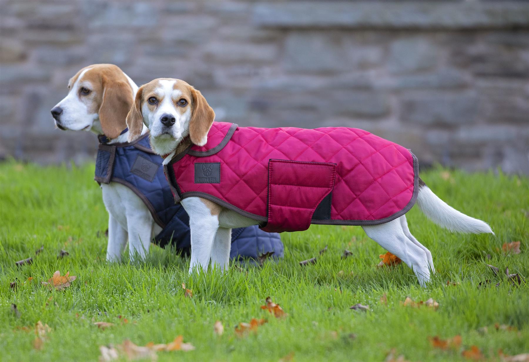 Digby & Fox Heritage Dog Coat - Just Horse Riders