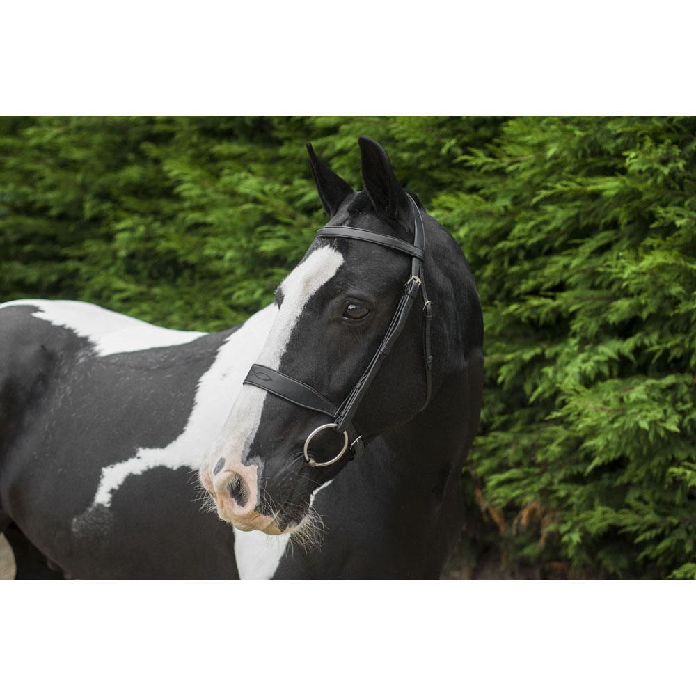 Ecorider Classic Show Bridle - Broad Noseband, Adjustable Cheekpieces - Just Horse Riders