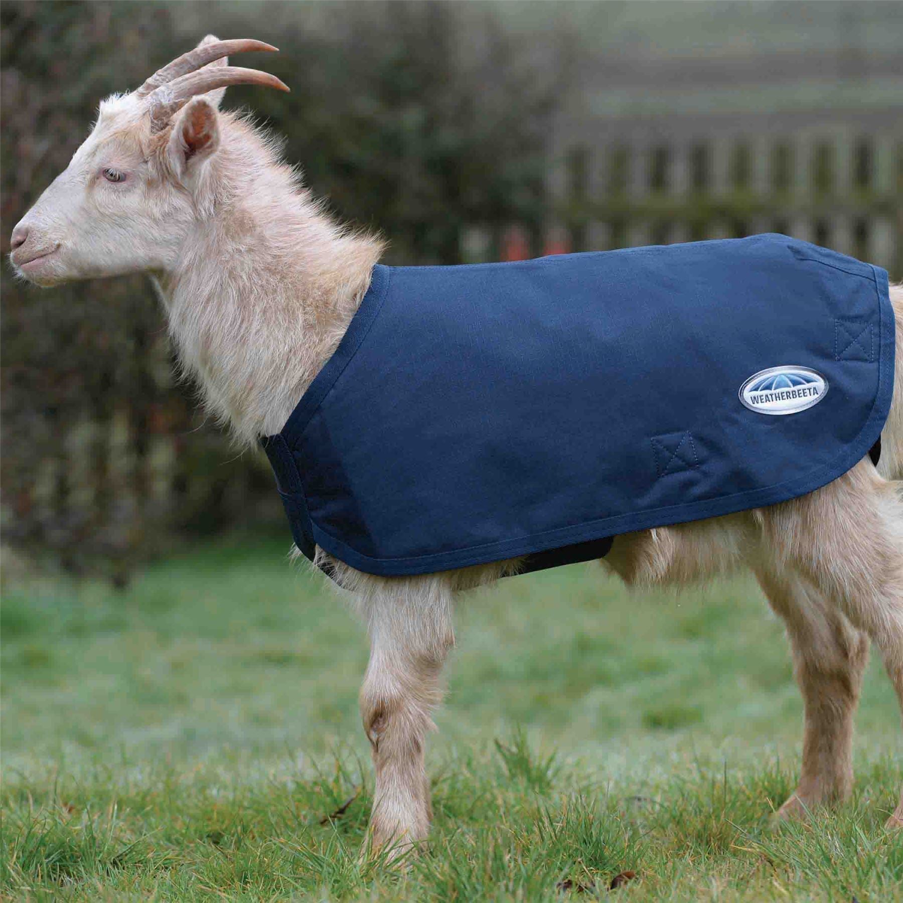 WeatherBeeta Deluxe Goat Coat - Just Horse Riders