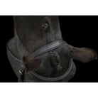 Handcrafted EcoLeather Classic Comfort Bridle Padded Headpiece & Removable Flash - Just Horse Riders