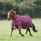 Highlander Plus 100 Turnout Rug - Just Horse Riders