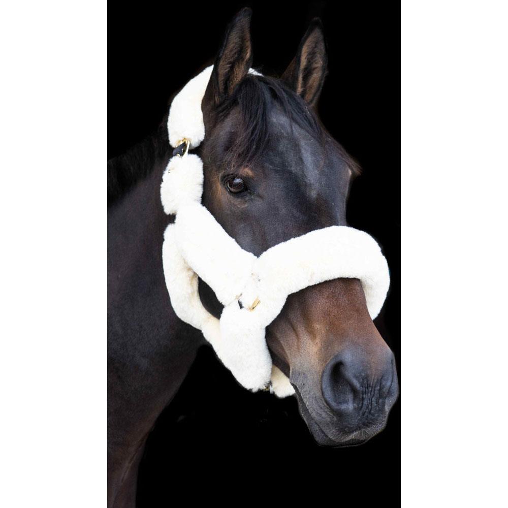 Eco Rider Supreme Headcollar - Ultimate Luxury with Softest Faux Sheepskin - Just Horse Riders