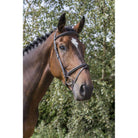 Handcrafted EcoLeather Classic Comfort Bridle Padded Headpiece & Removable Flash - Just Horse Riders