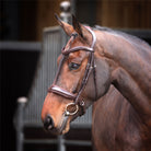 Shires Lusso Elite Padded Cavesson Bridle - Just Horse Riders