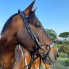 Eco Rider Freedom Jump Bridle Adjustable Bow Alleviate Pressure Sensitive Areas - Just Horse Riders