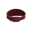 Ancol Timberwolf Hound Collar - Just Horse Riders