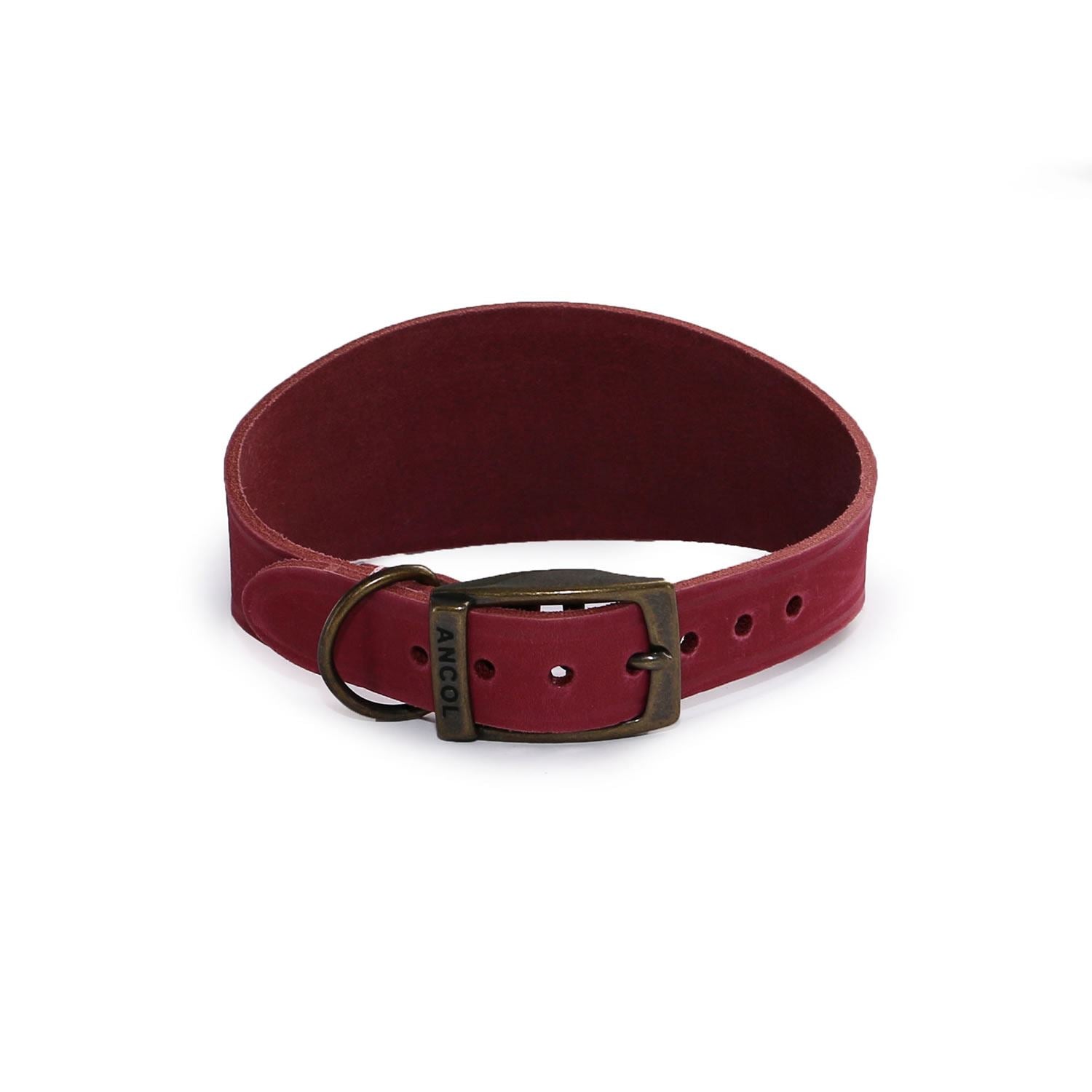 Ancol Timberwolf Hound Collar - Just Horse Riders