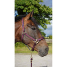 Cameo Equine Core Headcollar & Rope: For Everyday Use with Soft Neoprene Lining - Just Horse Riders