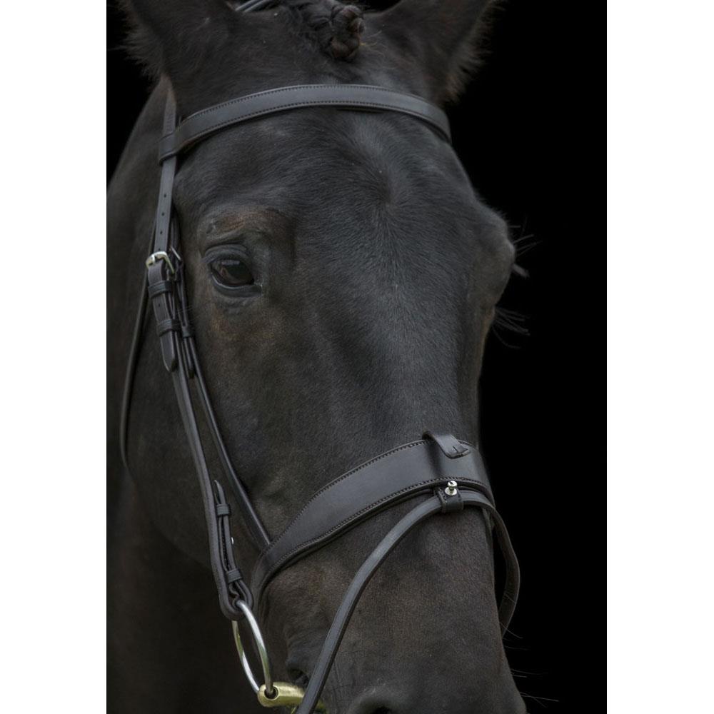 EcoRider Classic Show Comfort Bridle-Handcrafted Soft Padded Headpiece &Noseband - Just Horse Riders