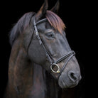 Handcrafted EcoLeather Classic Comfort Bridle Padded Headpiece & Removable Flash - Just Horse Riders