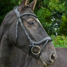 EcoRider Ecosoft Enigma Bridle - Softest Eco Leather, Supersoft Ergonomic Headpiece - Just Horse Riders