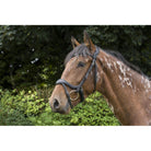 EcoRider Ecosoft Enigma Bridle - Softest Eco Leather, Supersoft Ergonomic Headpiece - Just Horse Riders