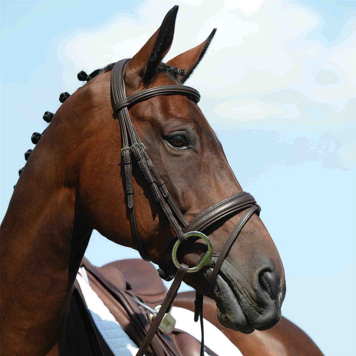 Collegiate Syntovia+ Padded Raised Flash Bridle