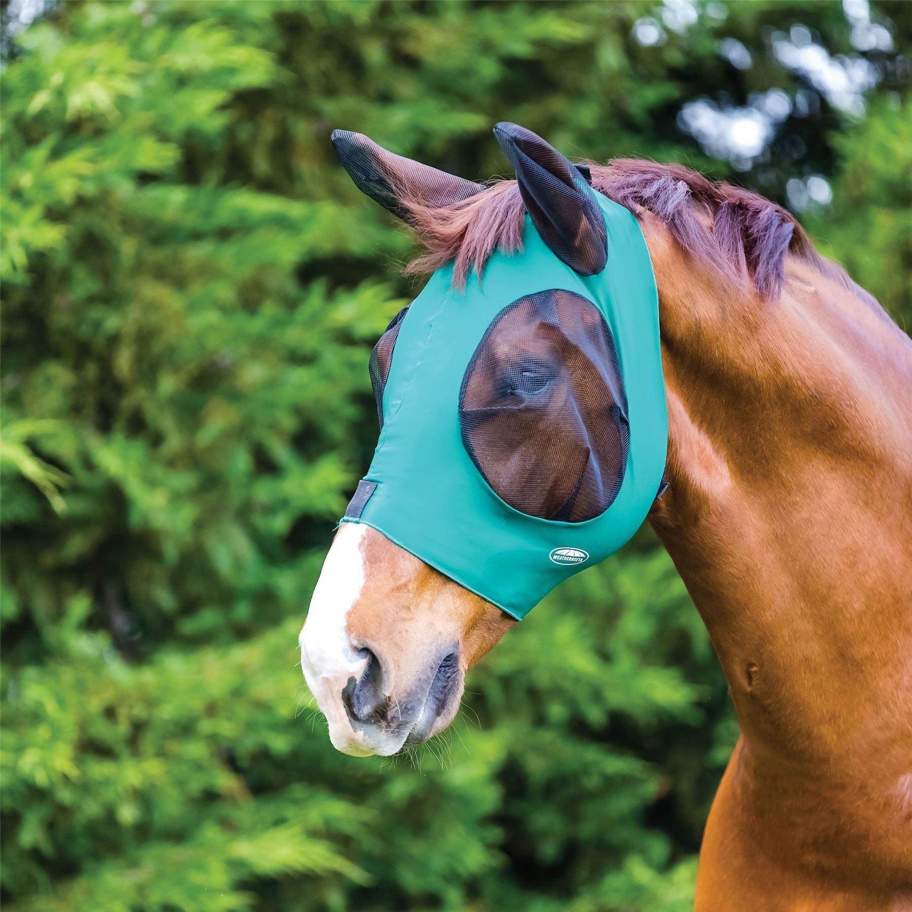 Weatherbeeta Deluxe Stretch Bug Eye Saver With Ears - Just Horse Riders