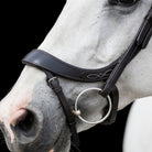 Eco Rider Freedom Comfort Noseband - Perfectly Shaped for Pressure Relief - Just Horse Riders