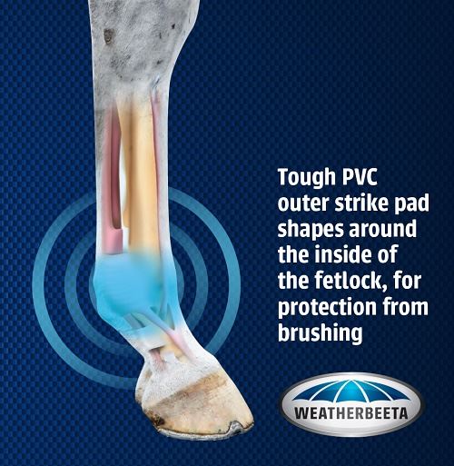 Weatherbeeta Pro Air Fetlock Boots - Just Horse Riders