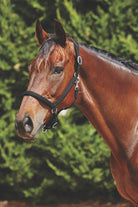 Weatherbeeta Comfitec Leather Headcollar - Just Horse Riders