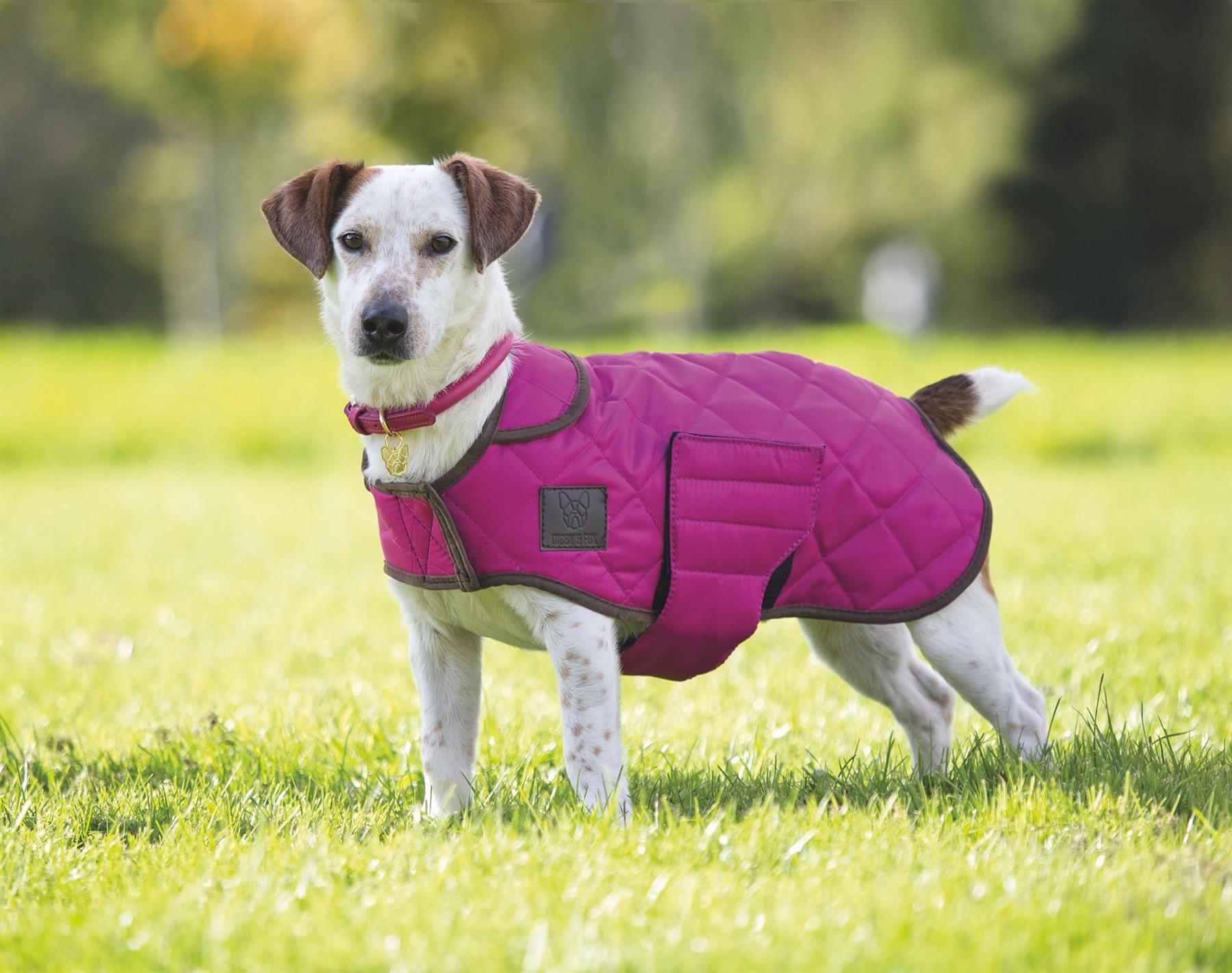 Digby & Fox Heritage Dog Coat - Just Horse Riders