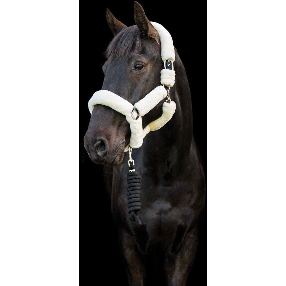 Cameo Equine Deluxe Headcollar - Supersoft & No Rust Fittings in Multiple Colors - Just Horse Riders