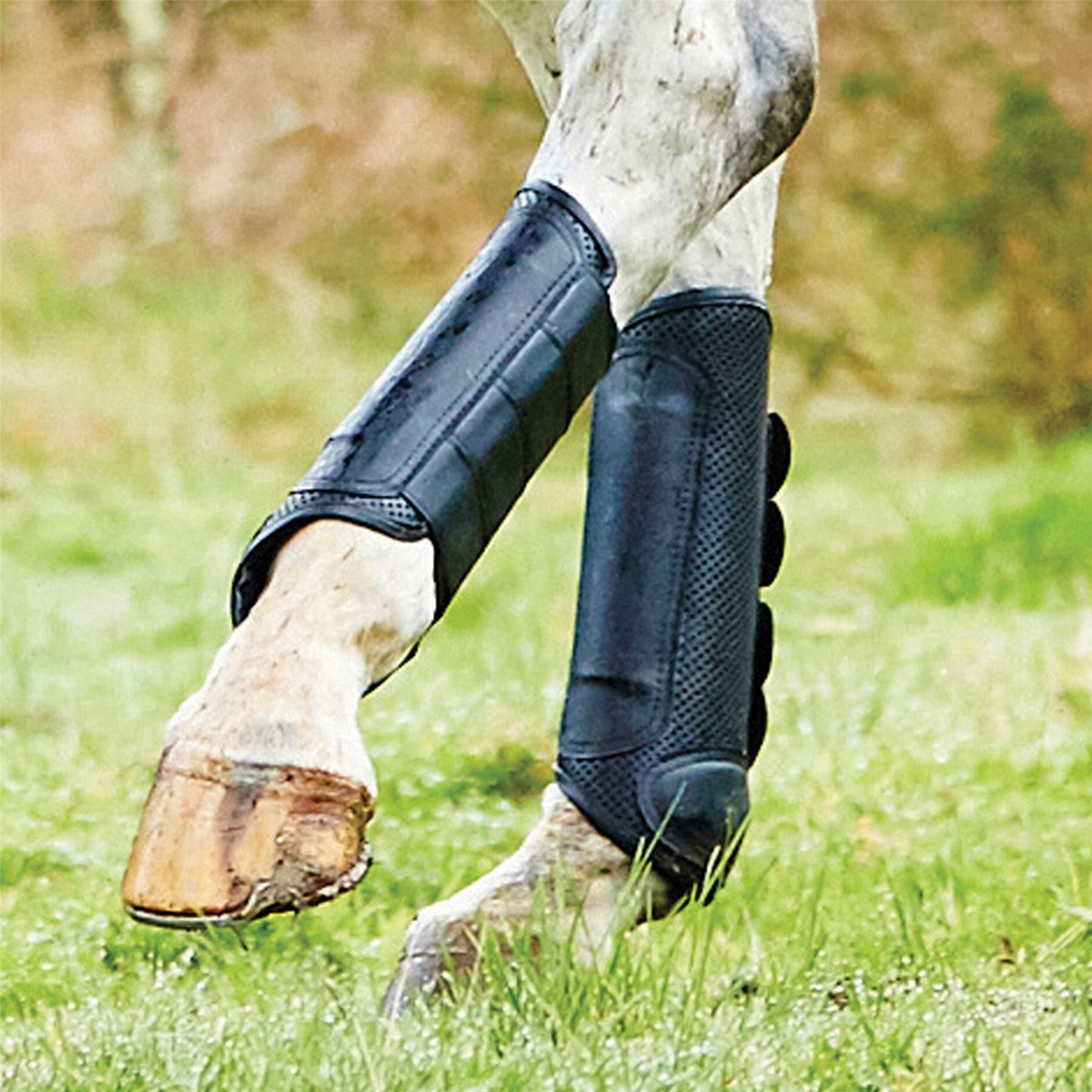 Weatherbeeta Cross Country Boots Hind - Just Horse Riders