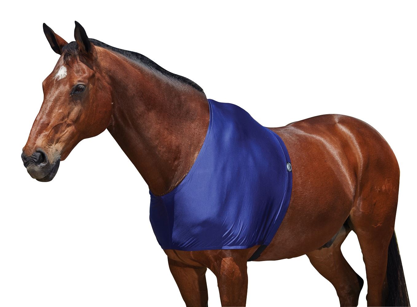 Weatherbeeta Shoulder Guard - Just Horse Riders