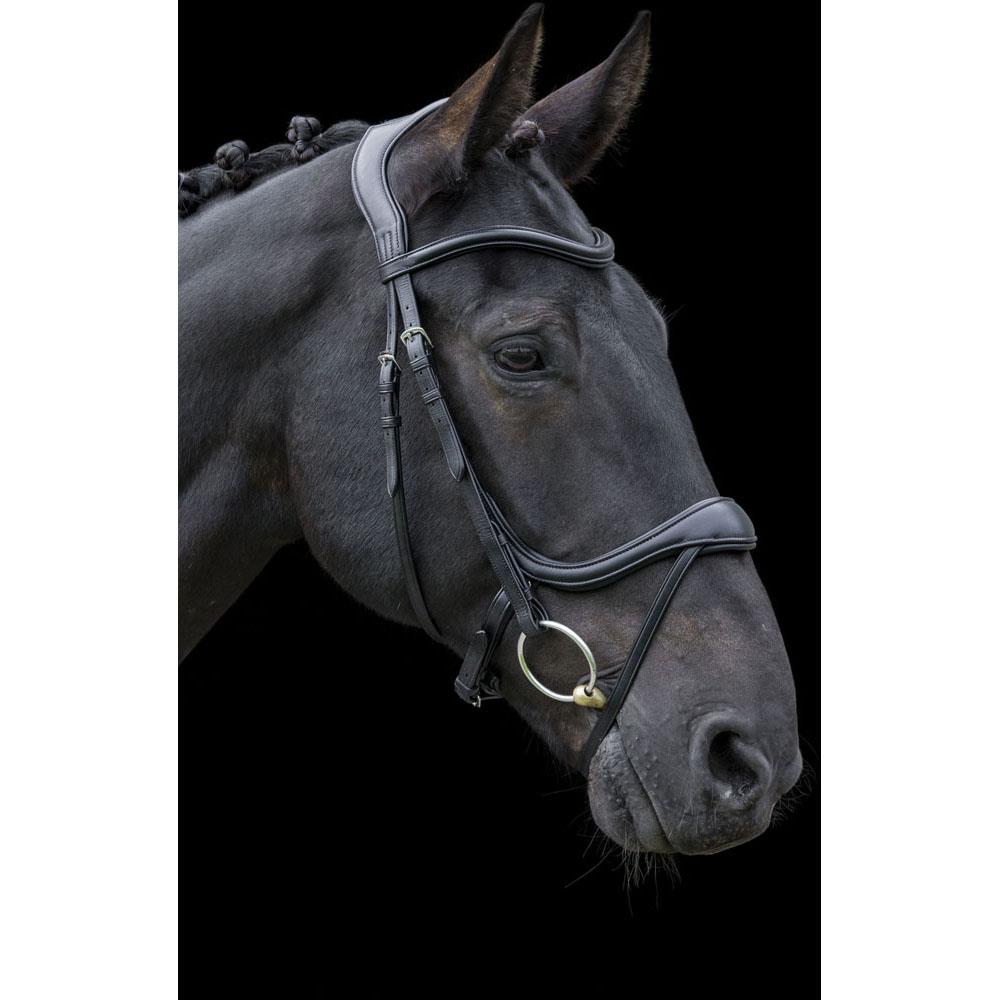 EcoRider Ecosoft Enigma Bridle - Softest Eco Leather, Supersoft Ergonomic Headpiece - Just Horse Riders