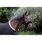 Cameo Equine Deluxe Headcollar - Supersoft & No Rust Fittings in Multiple Colors - Just Horse Riders