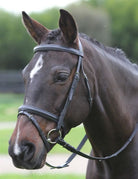 Kincade Flash Bridle - Just Horse Riders