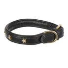 Digby & Fox Star Dog Collar - Just Horse Riders