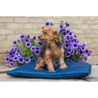 Cameo Equine Dog Bed - Waterproof and Durable Easy to Clean with Washable Liner - Just Horse Riders