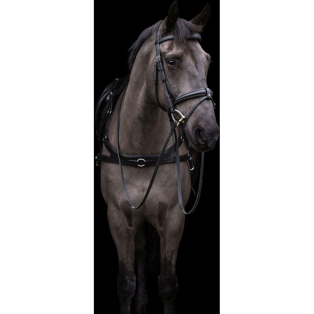 Eco Rider Ecosoft Luxe Bridle - Ultimate Comfort Pressure Relief Design - Just Horse Riders