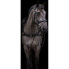 Eco Rider Ecosoft Luxe Bridle - Ultimate Comfort Pressure Relief Design - Just Horse Riders