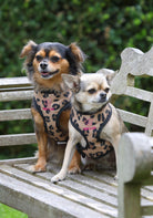 Digby & Fox Leopard Print Harness - Just Horse Riders