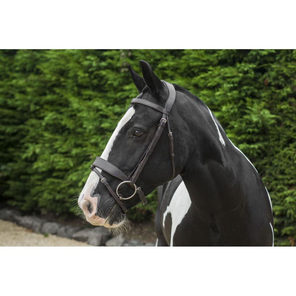 EcoRider Classic Show Comfort Bridle-Handcrafted Soft Padded Headpiece &Noseband - Just Horse Riders