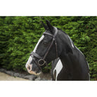 EcoRider Classic Show Comfort Bridle-Handcrafted Soft Padded Headpiece &Noseband - Just Horse Riders