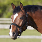 Bitz Deluxe Padded Headcollar - Just Horse Riders