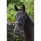 Eco Rider Ecosoft Acclaim Bridle -Soft EcoLeather, Padded Browband Crystal Inlay - Just Horse Riders