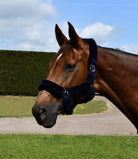 Rhinegold Fur Trim Headcollar - Just Horse Riders