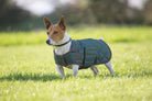 Digby & Fox Heritage Dog Coat - Just Horse Riders