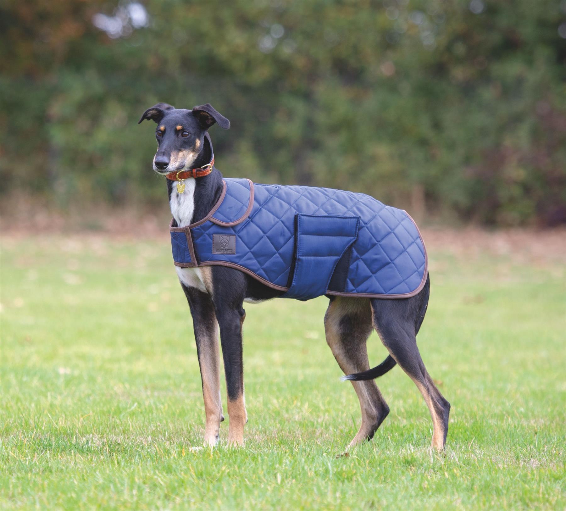 Digby & Fox Heritage Dog Coat - Just Horse Riders