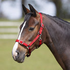 Bitz Everyday Adjustable Headcollar - Just Horse Riders