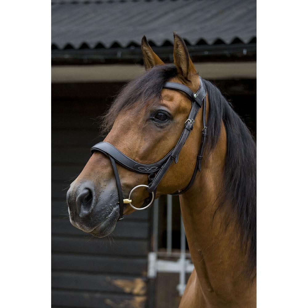 Eco Rider Freedom Comfort Bridle -Game-Changing Design for Perfect Fit & Comfort - Just Horse Riders