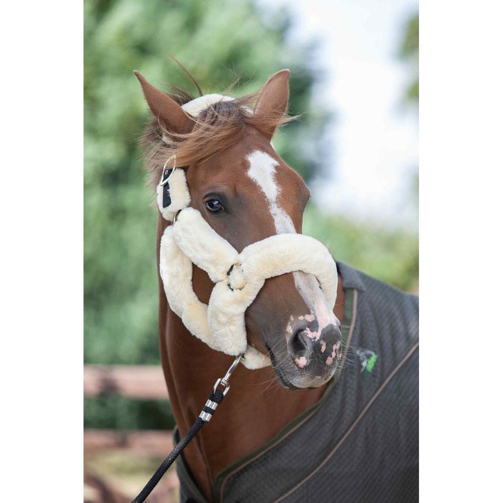 Eco Rider Supreme Headcollar - Ultimate Luxury with Softest Faux Sheepskin - Just Horse Riders