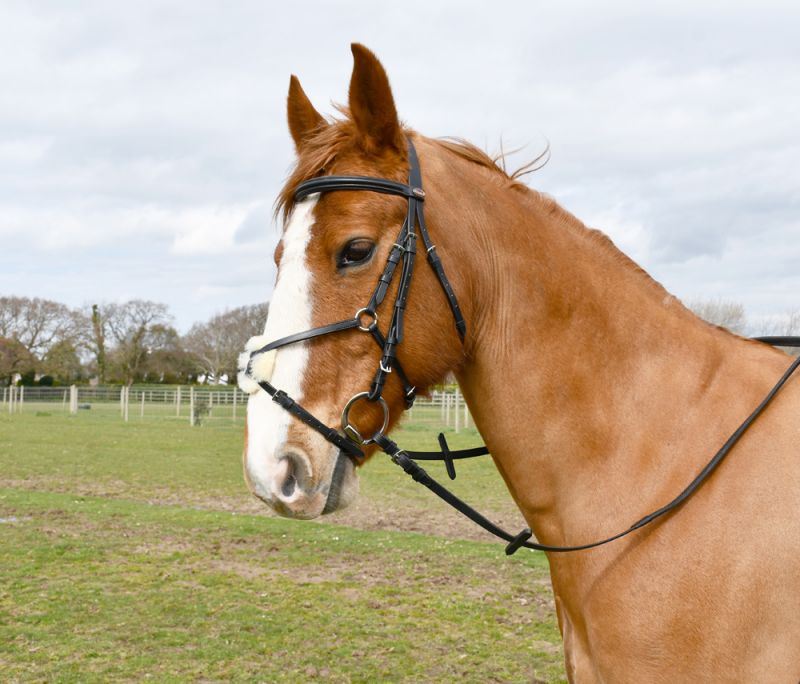 Windsor Mexican Bridle - Just Horse Riders