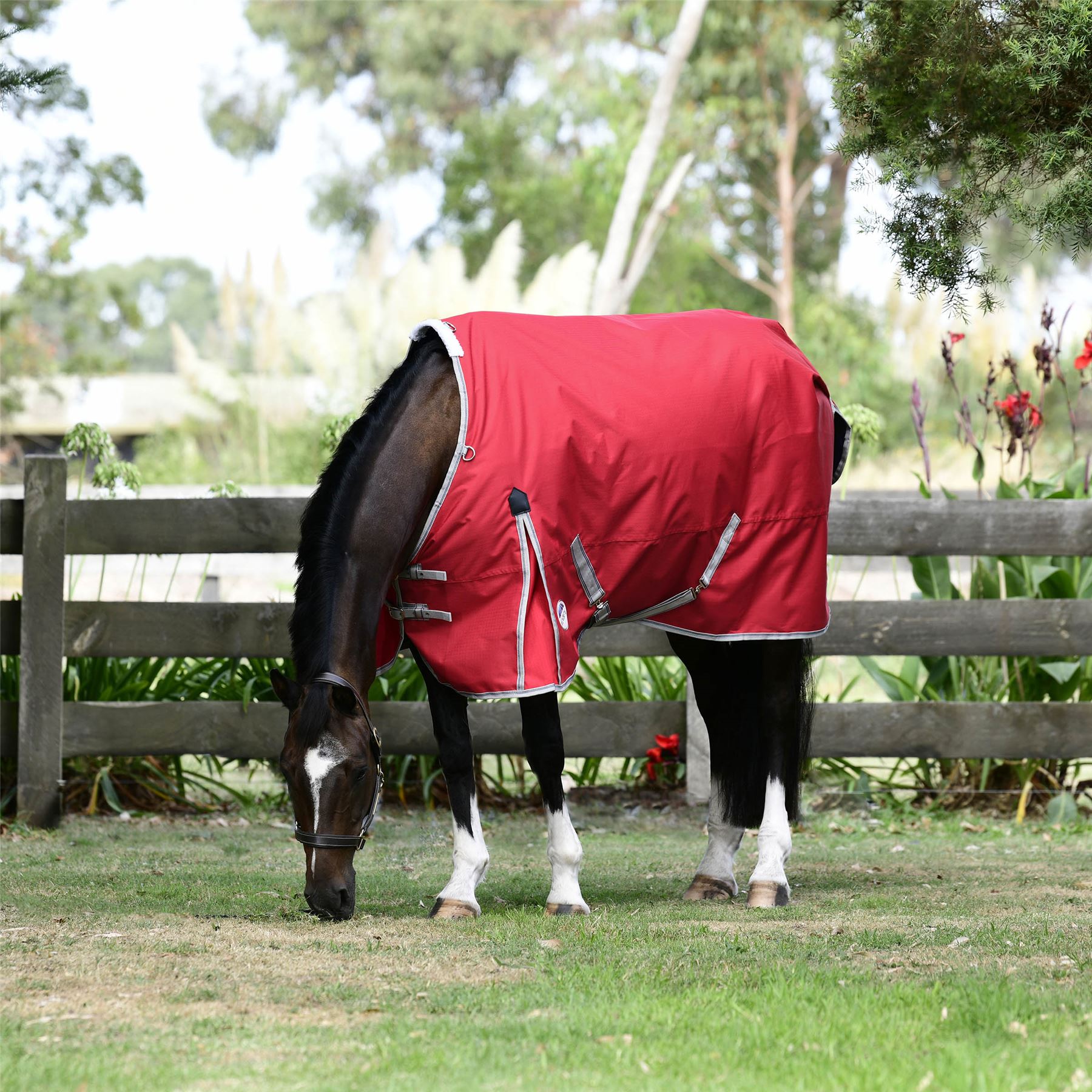 Weatherbeeta Comfitec Classic Standard Neck Lite Plus - Just Horse Riders