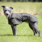 Digby & Fox Wax Greyhound Coat - Just Horse Riders