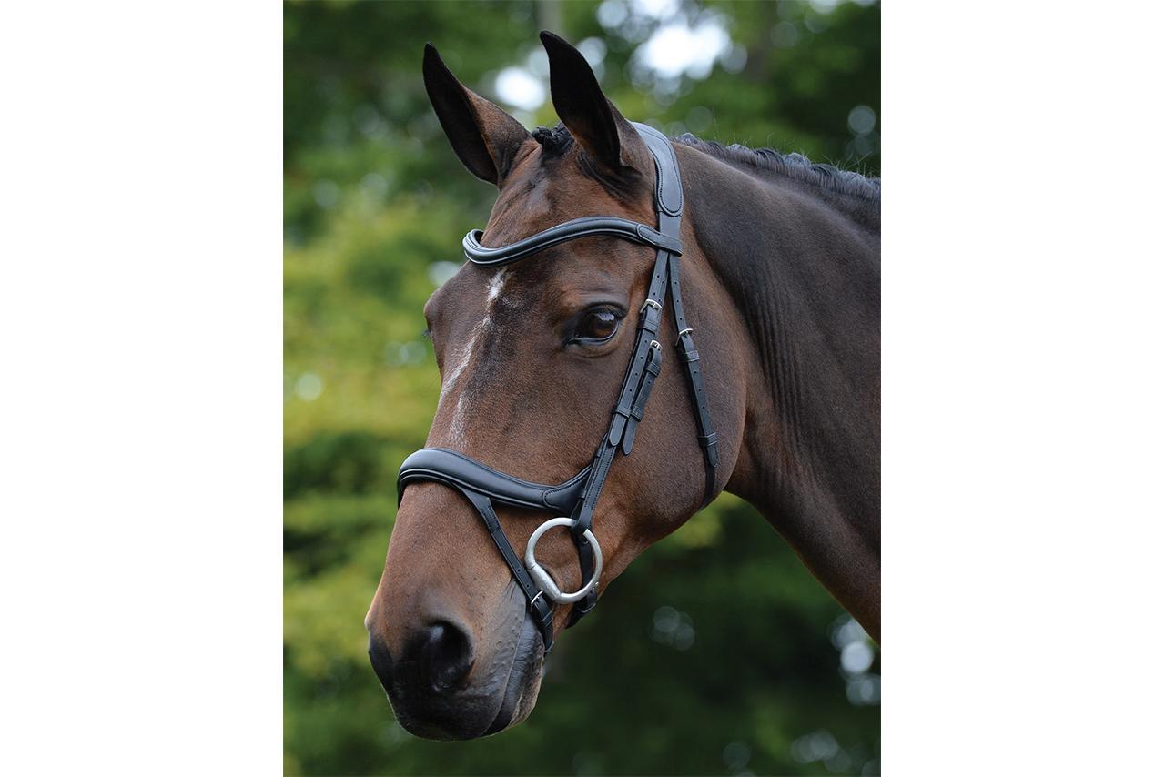 Anatomical Bridles At Just Horse Riders: Quality, Comfort, & Control