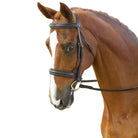 Collegiate Plain Raised Cavesson Bridle - Just Horse Riders