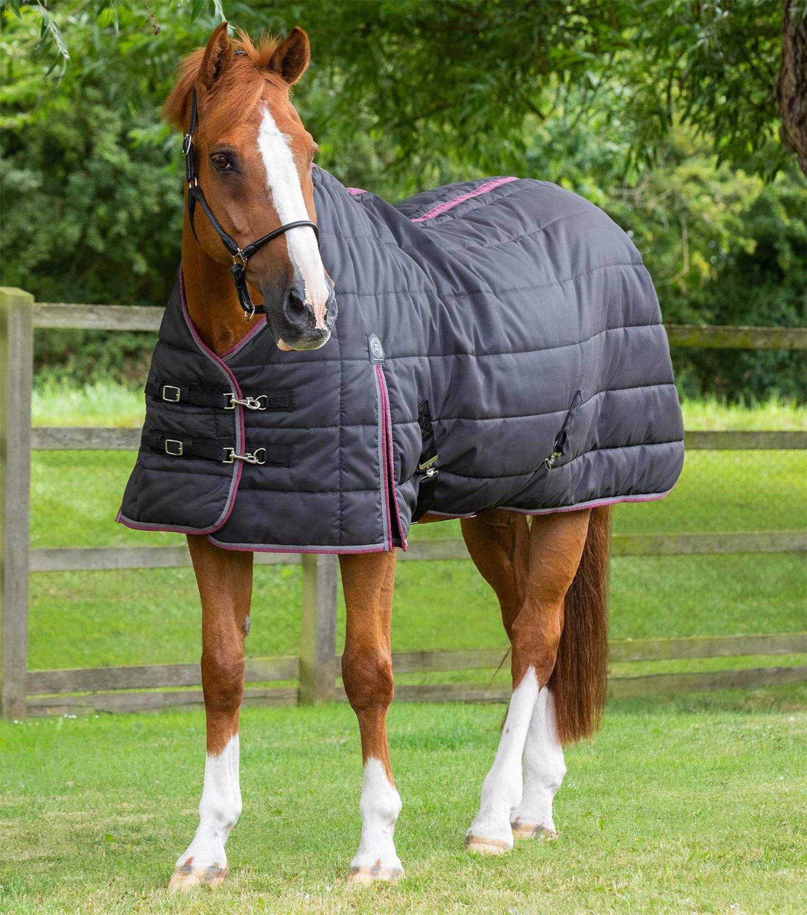 Premier Equine Garissa Stable Rug 200g